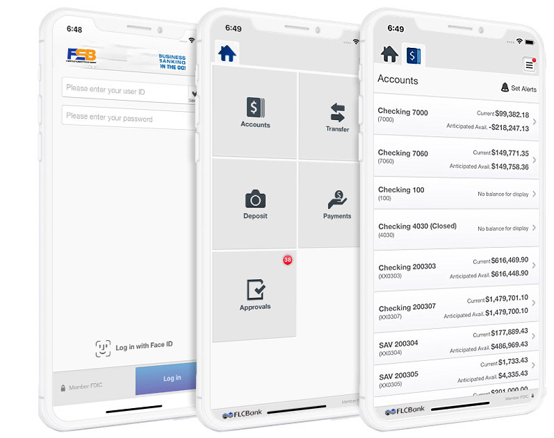 Online Banking App on Phone